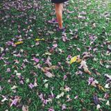 (Category: ) located in . Submitted by nikkkai (Listing ID 1376571820, Image 1). Description: .