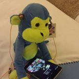 (Category: ) located in . Submitted by slimey (Listing ID 1378876988, Image 1). Description: .