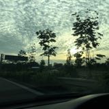 (Category: ) located in . Submitted by goodluck888 (Listing ID 1214697435, Image 1). Description: .
