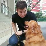 (Category: ) located in . Submitted by samngyongze (Listing ID 1385943550, Image 1). Description: .