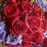 (Category: ) located in . Submitted by rosyroses (Listing ID 1386375724, Image 1). Description: .