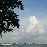 (Category: ) located in . Submitted by teq20 (Listing ID 1454346922, Image 1). Description: .