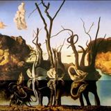 (Category: ) located in . Submitted by salvador_dali (Listing ID 1314269082, Image 1). Description: .