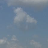 (Category: ) located in . Submitted by boolabi (Listing ID 1353230069, Image 1). Description: .