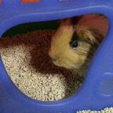 (Category: ) located in . Submitted by in.b.ma (Listing ID 1350557027, Image 1). Description: .