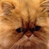 (Category: ) located in . Submitted by holaamigo (Listing ID 1370085714, Image 1). Description: .