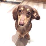由 nancy_fen (刊登 ID 1383910859，圖片 1) 提交，位於 的 (類別：)，說明：。