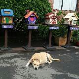 (Category: ) located in . Submitted by kacheekart (Listing ID 1378868790, Image 1). Description: .