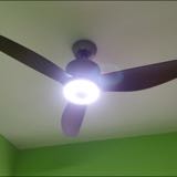 (Category: ) located in . Submitted by tfonglin (Listing ID 1353652584, Image 1). Description: .