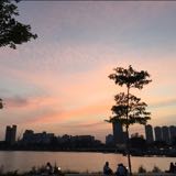 (Category: ) located in . Submitted by yholl (Listing ID 1238612020, Image 1). Description: .