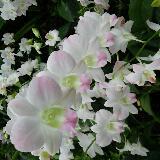 (Category: ) located in . Submitted by all.things.lovely (Listing ID 1376515204, Image 1). Description: .