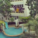 (Category: ) located in . Submitted by manepali (Listing ID 1379020477, Image 1). Description: .