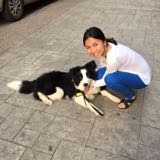(Category: ) located in . Submitted by jhuang001 (Listing ID 1380783627, Image 1). Description: .