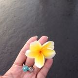 (Category: ) located in . Submitted by me.kris (Listing ID 1380420612, Image 1). Description: .