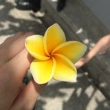 (Category: ) located in . Submitted by justforyou (Listing ID 1383358557, Image 1). Description: .