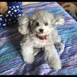 (Category: ) located in . Submitted by angel (Listing ID 1256476140, Image 1). Description: .