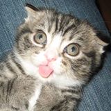 (Category: ) located in . Submitted by charontes (Listing ID 1370708492, Image 1). Description: .