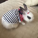 (Category: ) located in . Submitted by penny24 (Listing ID 265223485, Image 1). Description: .
