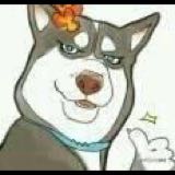(Category: ) located in . Submitted by maximus.han.9 (Listing ID 1383924278, Image 1). Description: .