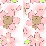 由 diane1109 (刊登 ID 1380506876，圖片 1) 提交，位於 的 (類別：)，說明：。