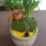 (Category: ) located in . Submitted by paupaupaupau (Listing ID 1314306843, Image 1). Description: .