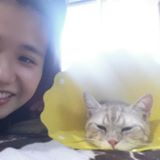 由 cloechiu (刊登 ID 1367792600，圖片 1) 提交，位於 的 (類別：)，說明：。