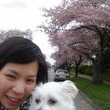 （分類：）位於 。 由 princerobert 提交（商品編號 1316387455，圖片 1）。簡介： 。