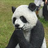 由 nametum (刊登 ID 1385884365，圖片 1) 提交，位於 的 (類別：)，說明：。