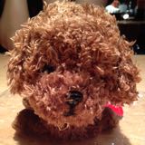 (Category: ) located in . Submitted by ringoheng (Listing ID 1384995981, Image 1). Description: .