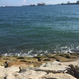 (Category: ) located in . Submitted by khaielie (Listing ID 1379680160, Image 1). Description: .