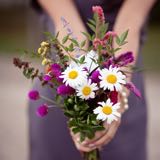 (Category: ) located in . Submitted by happyflowers (Listing ID 1377517099, Image 1). Description: .