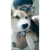 由 fffan (刊登 ID 1367061120，圖片 1) 提交，位於 的 (類別：)，說明：。