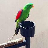 (Category: ) located in . Submitted by siva2479 (Listing ID 1117952928, Image 1). Description: .