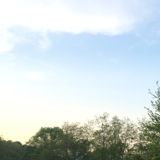 (Category: ) located in . Submitted by hyteh (Listing ID 1363215611, Image 1). Description: .