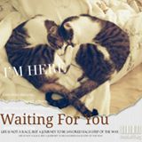 由 tamina0w0 (刊登 ID 1368952628，圖片 1) 提交，位於 的 (類別：)，說明：。