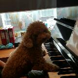 (Category: ) located in . Submitted by ditan (Listing ID 1070277345, Image 1). Description: .