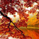 (Category: ) located in . Submitted by adhira (Listing ID 1352199295, Image 1). Description: .