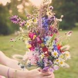 (Category: ) located in . Submitted by thedaisyshop (Listing ID 1376558817, Image 1). Description: .