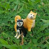 (Category: ) located in . Submitted by shibababa (Listing ID 1306343542, Image 1). Description: .