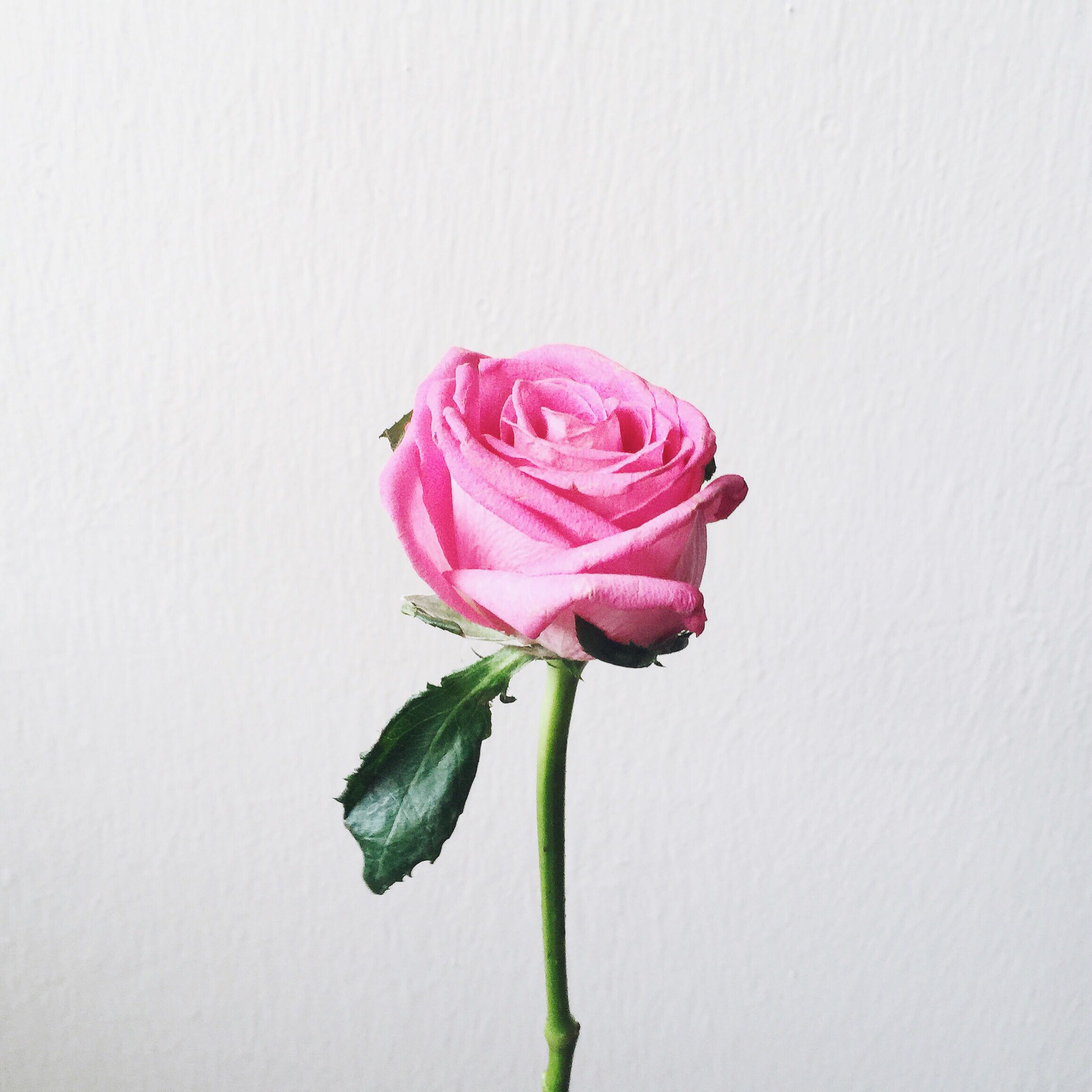 (Category: ) located in . Submitted by curatedbeings (Listing ID 1367262504, Image 1). Description: .