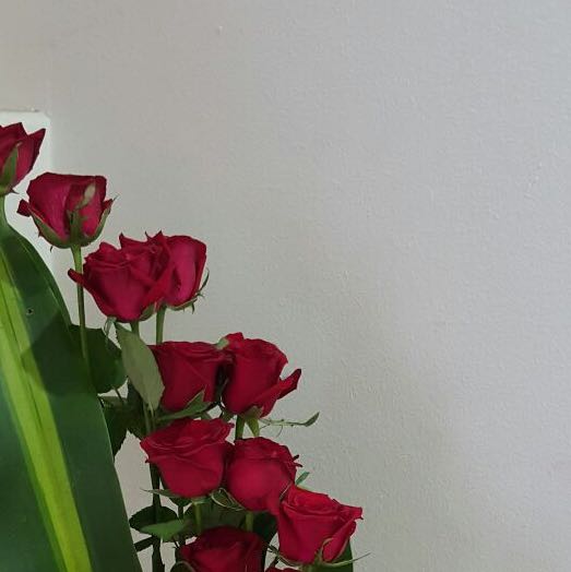 (Category: ) located in . Submitted by shophappyface (Listing ID 1379997297, Image 1). Description: .