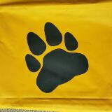 (Category: ) located in . Submitted by paw_of_river (Listing ID 1360177178, Image 1). Description: .
