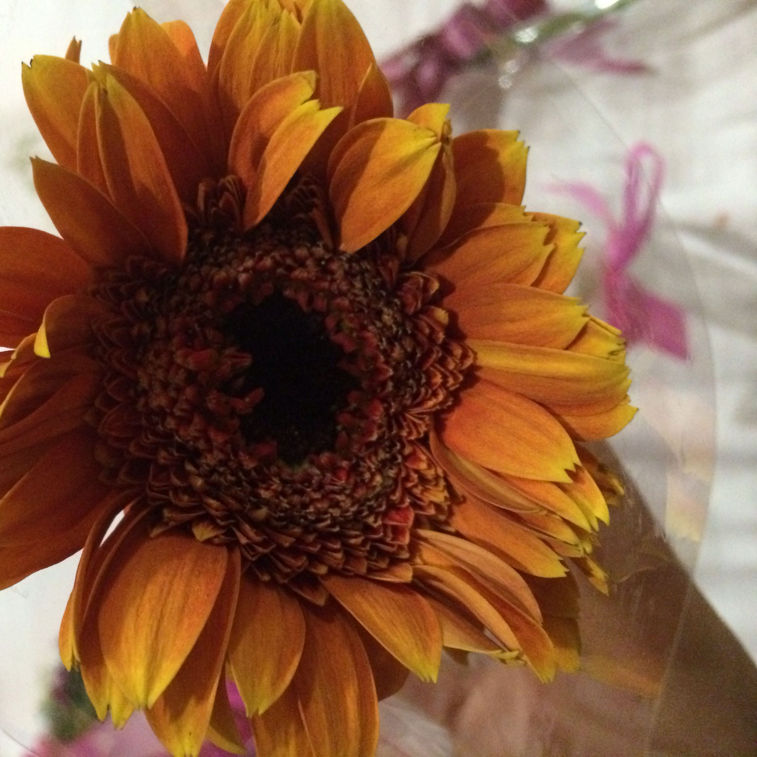 (Category: ) located in . Submitted by littlethingsss (Listing ID 1379879856, Image 1). Description: .
