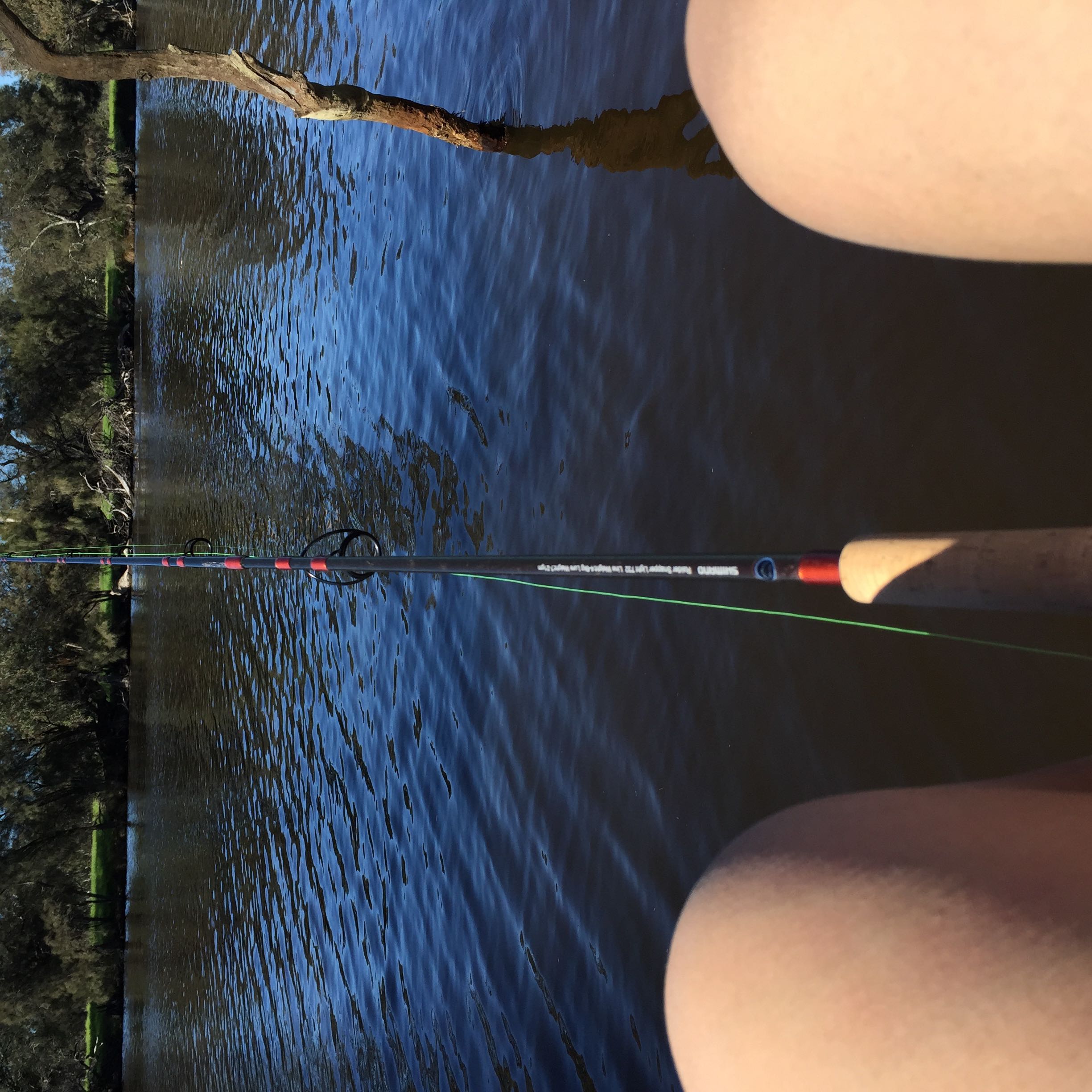 (Category: ) located in . Submitted by shayne.yang (Listing ID 1452860329, Image 1). Description: .
