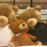 (Category: ) located in . Submitted by tyswee (Listing ID 1383718698, Image 1). Description: .