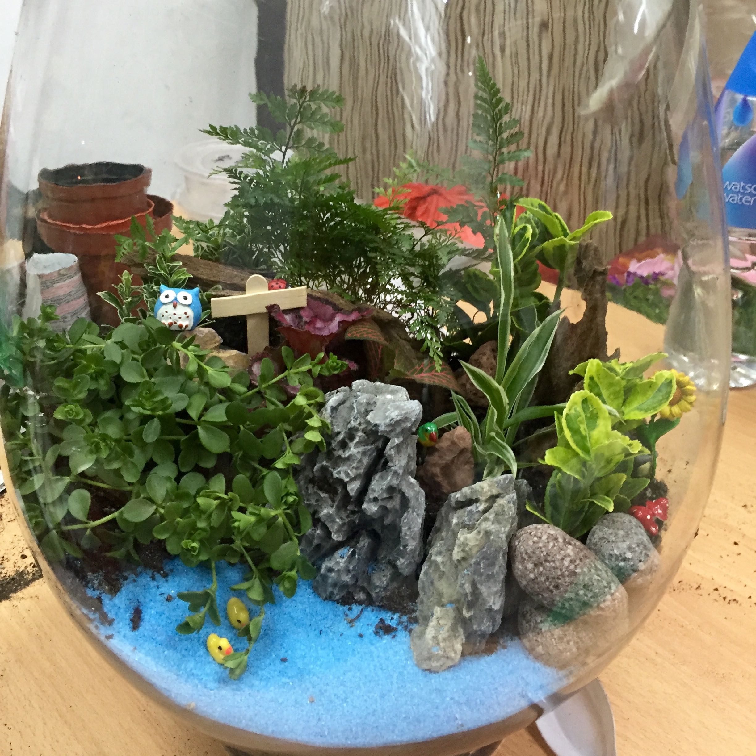 (Category: ) located in . Submitted by gforce (Listing ID 1371885896, Image 1). Description: .