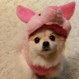 (Category: ) located in . Submitted by xisabelleee (Listing ID 1380641474, Image 1). Description: .
