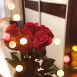 (Category: ) located in . Submitted by chrishoang (Listing ID 1368059653, Image 1). Description: .