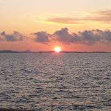 (Category: ) located in . Submitted by limchinlong123 (Listing ID 1380132636, Image 1). Description: .
