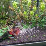 (Category: ) located in . Submitted by sys8888 (Listing ID 1374001937, Image 1). Description: .